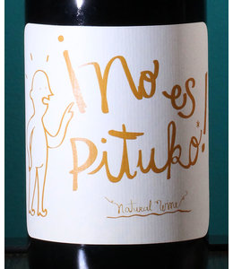 Viña Echeverria, Cabernet Franc No Es Pituko Valle Del Curicó 2023